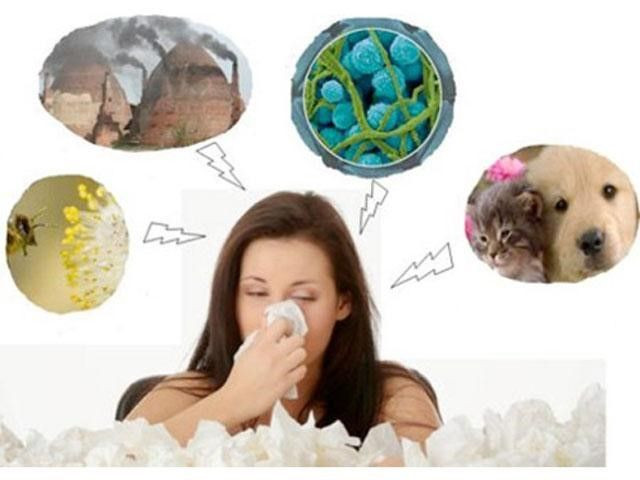 Picture 2 of How to prevent cold-season allergic rhinitis