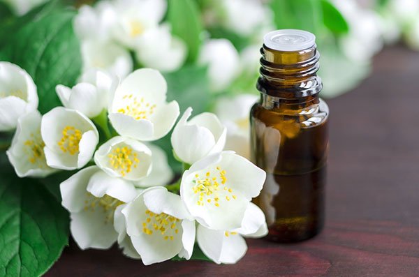 Picture 6 of How to prevent hair loss and stimulate hair growth effectively at home