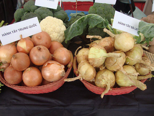 Picture 2 of How to recognize Dalat and Chinese vegetables