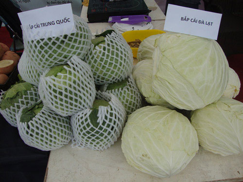 Picture 4 of How to recognize Dalat and Chinese vegetables