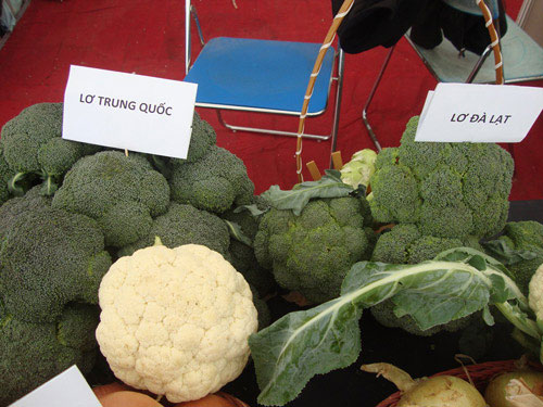 Picture 5 of How to recognize Dalat and Chinese vegetables