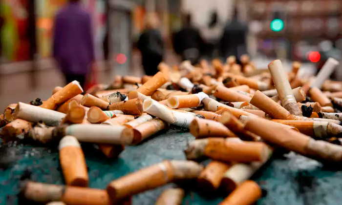 Picture 1 of How to solve the cigarette filter of Australian scientists