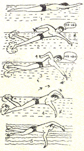 Picture 10 of How to swim with the right technique, right method