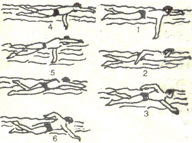 Picture 13 of How to swim with the right technique, right method