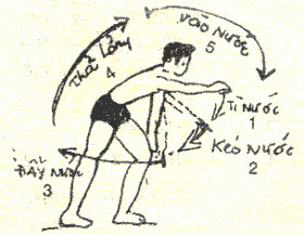 Picture 4 of How to swim with the right technique, right method