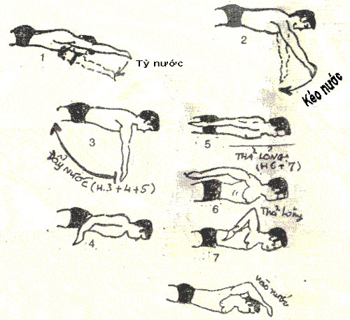 Picture 6 of How to swim with the right technique, right method