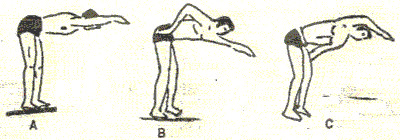 Picture 7 of How to swim with the right technique, right method