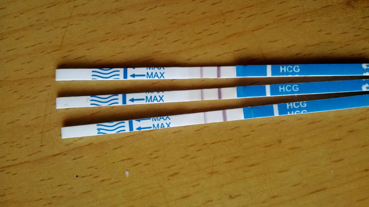 Picture 2 of How to use a pregnancy test