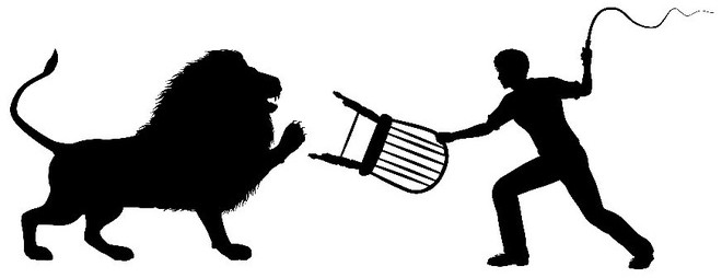 Picture 3 of How was the circus lion domestication work done?
