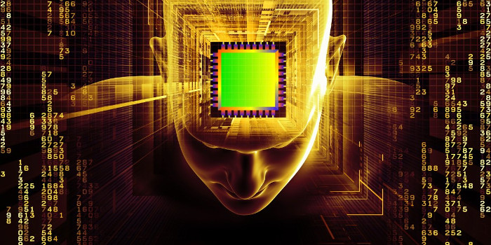 Picture 7 of How will people change in the next 1000 years?