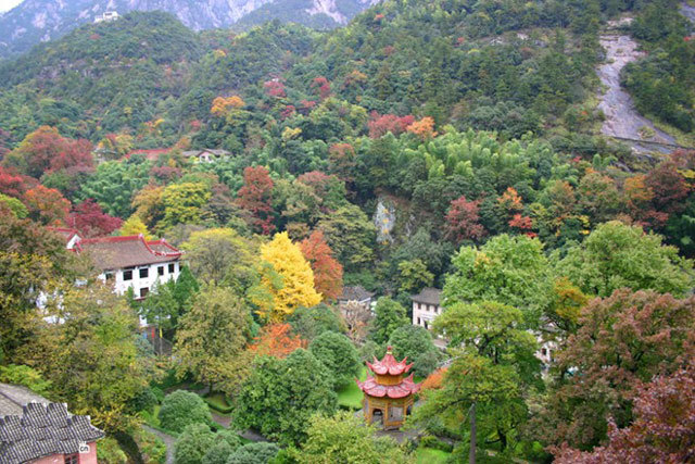 Picture 14 of Huangshan Mountain - China