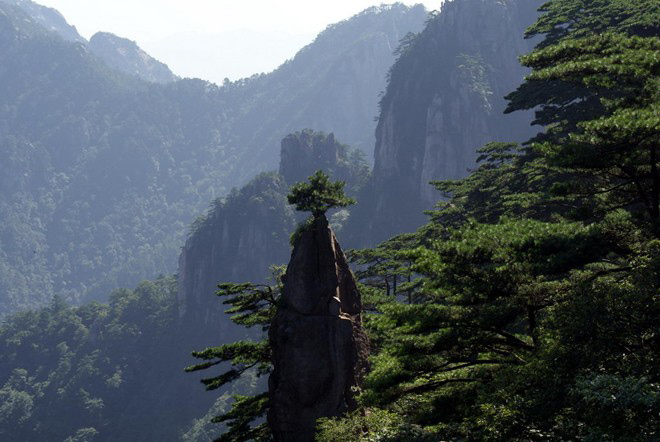 Picture 16 of Huangshan Mountain - China