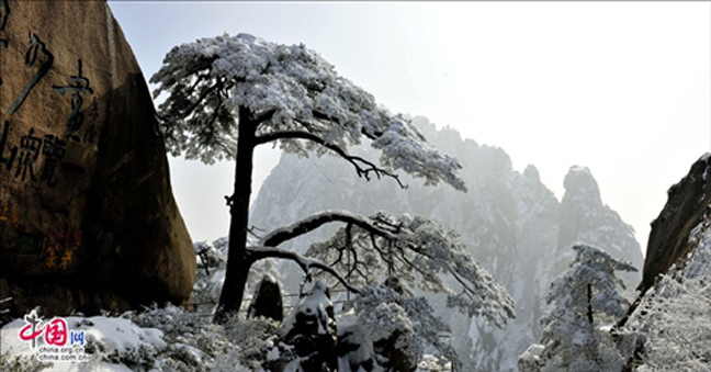 Picture 18 of Huangshan Mountain - China