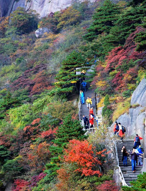 Picture 5 of Huangshan Mountain - China