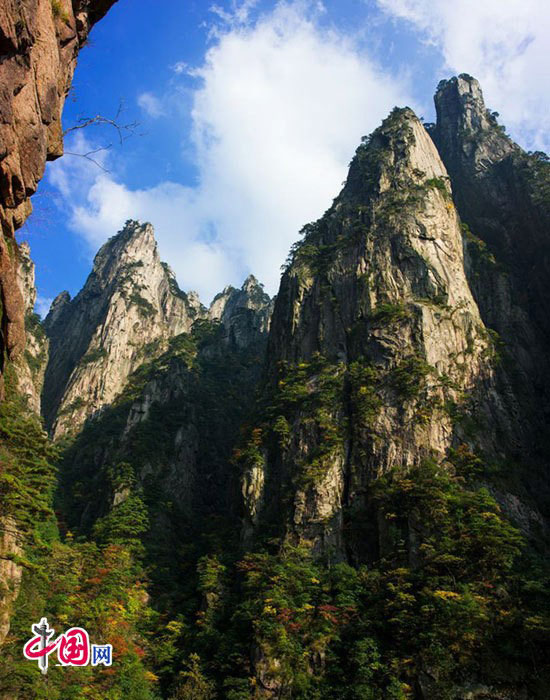 Picture 8 of Huangshan Mountain - China