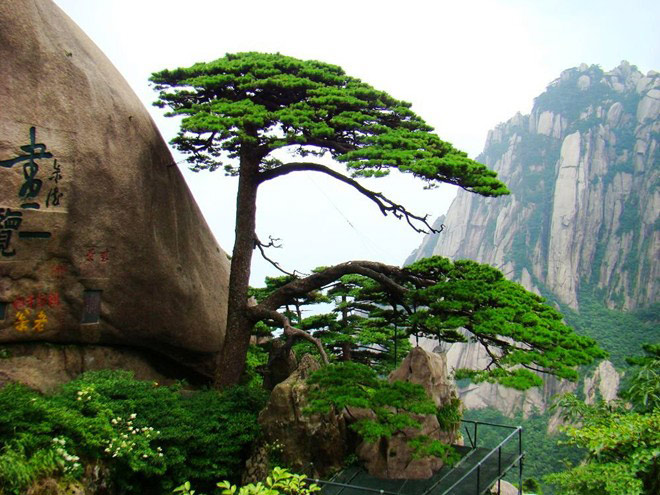 Picture 9 of Huangshan Mountain - China
