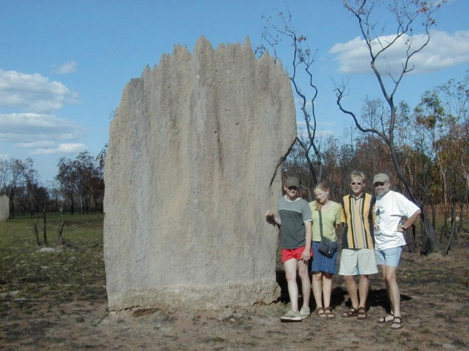 Picture 7 of Huge graveyard in Australia