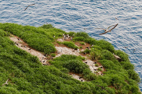 Picture 13 of Huge rock island is unique in the South China Sea