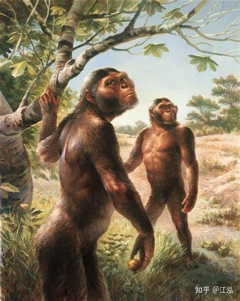 Picture 4 of Human ancestors caused the extinction of animals 4 million years ago