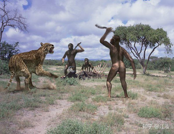 Picture 7 of Human ancestors caused the extinction of animals 4 million years ago