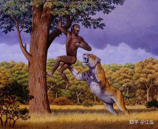 Picture 8 of Human ancestors caused the extinction of animals 4 million years ago
