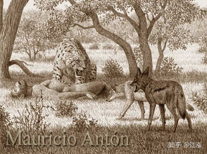 Picture 9 of Human ancestors caused the extinction of animals 4 million years ago