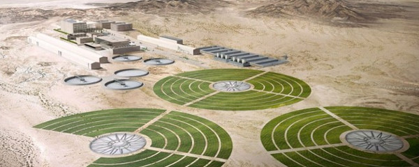 Picture 1 of Human anti-drought weapons are here