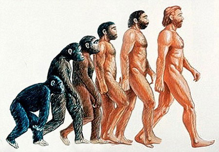 Picture 1 of Human are on the endangerer?