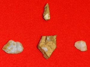 Picture 1 of Human bone detection dating to 12,000 years in Japan