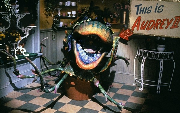 Picture 3 of Human carnivorous plants are shaped like aliens