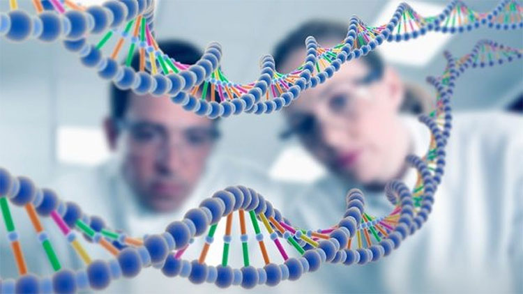 Picture 1 of Human evidence originated from a couple of parents