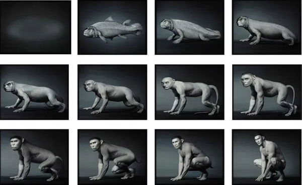 Picture 3 of Human feet and hands have evolved from ancient fish fins
