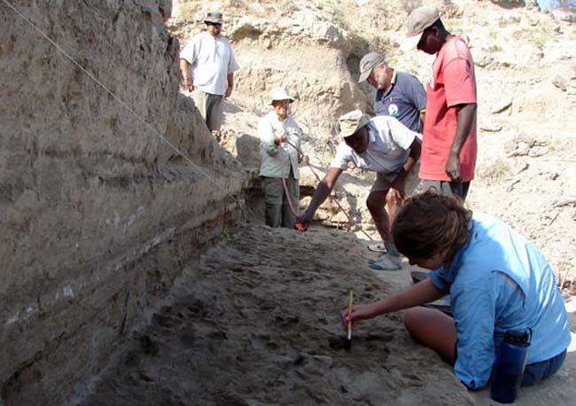 Picture 3 of Human footprints are 1.5 million years old