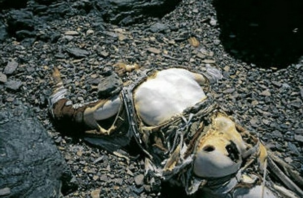 Picture 3 of Human health becomes meaningless at the top of Everest's roof