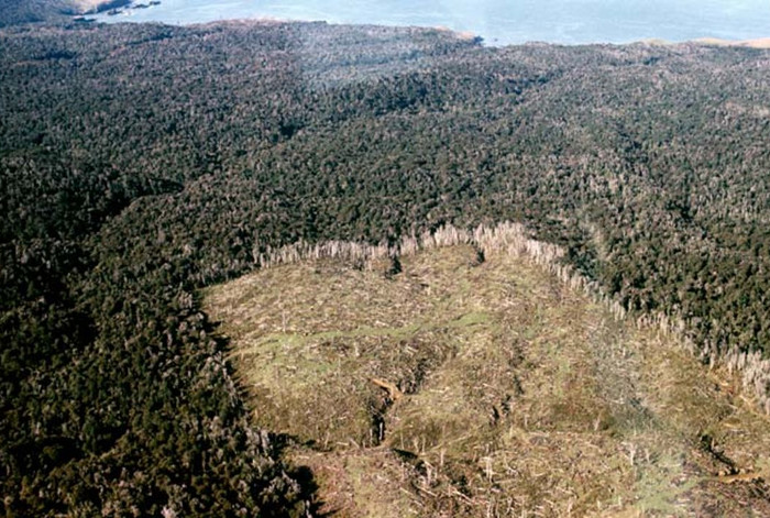Picture 3 of Human impact on nature is decreasing