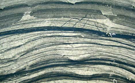Picture 6 of Humans are dyed black on Earth
