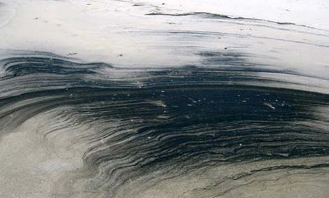 Picture 7 of Humans are dyed black on Earth