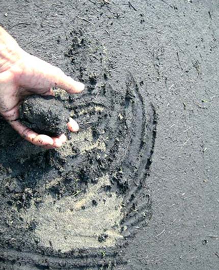 Picture 8 of Humans are dyed black on Earth