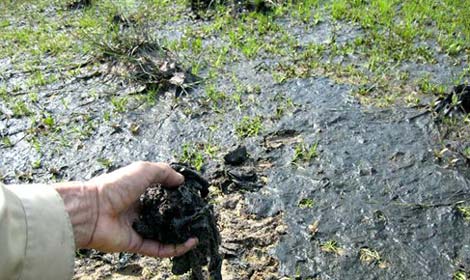 Picture 9 of Humans are dyed black on Earth