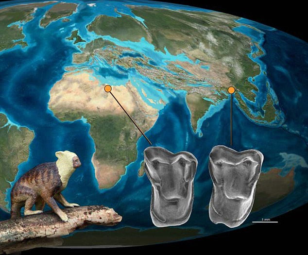 Picture 1 of Humans are originally from Asia?