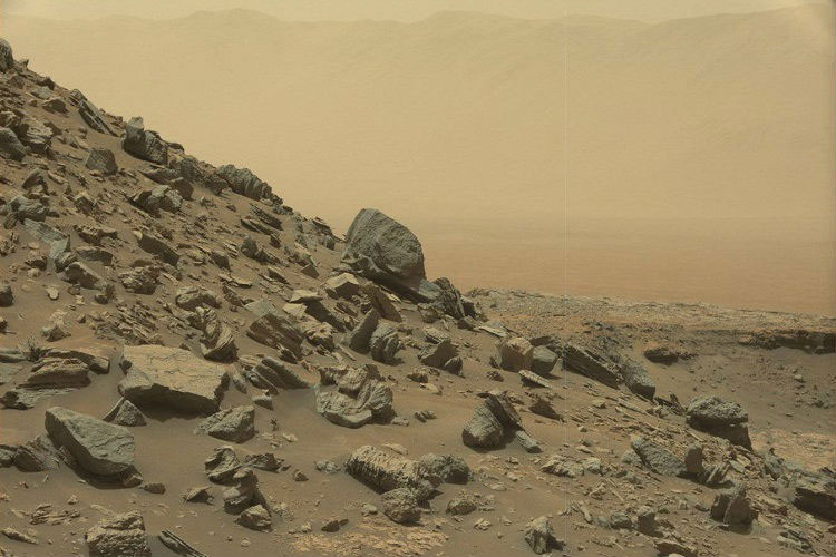 Picture 1 of Humans can successfully grow potatoes on Mars