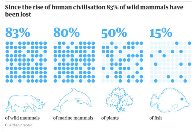 Picture 1 of Humans make up only 0.01% of life on Earth but destroy 83% of other species