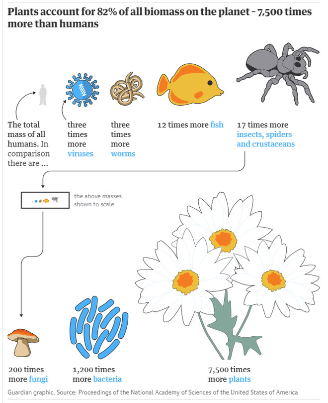 Picture 4 of Humans make up only 0.01% of life on Earth but destroy 83% of other species