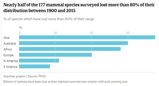 Picture 5 of Humans make up only 0.01% of life on Earth but destroy 83% of other species