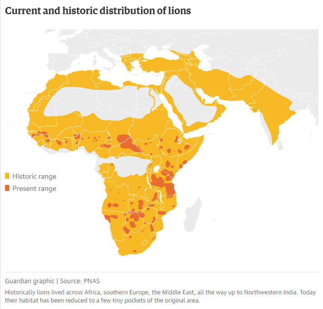 Picture 6 of Humans make up only 0.01% of life on Earth but destroy 83% of other species