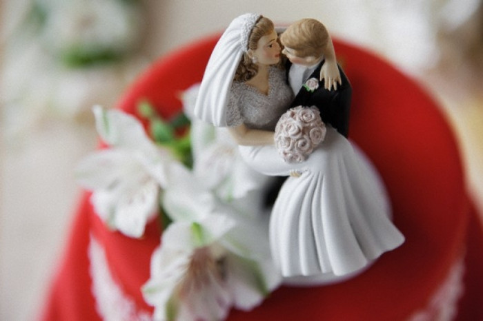 Picture 1 of Humans marry to avoid sexual disease
