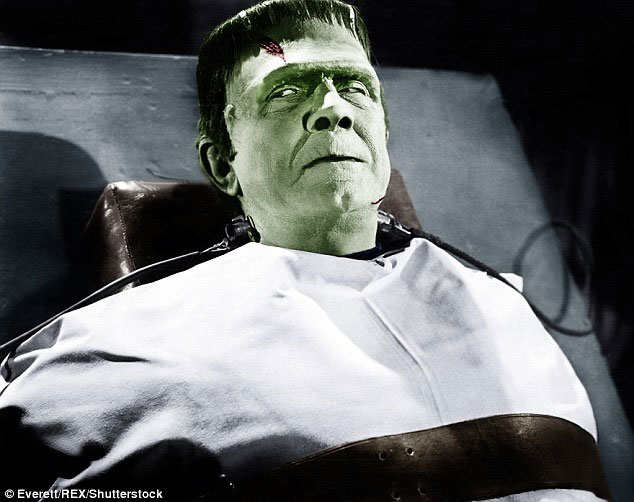 Picture 4 of Humans were able to perish within 4000 years if Frankenstein had a wife