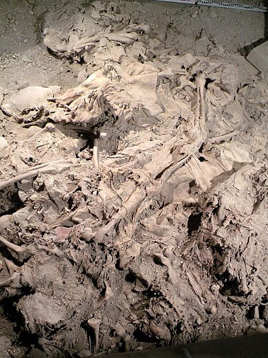 Picture 1 of Hundreds of mummies discovered in mass graves