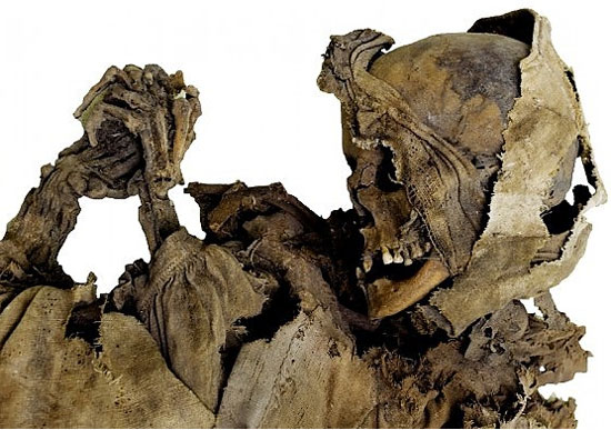 Picture 2 of Hundreds of mummies discovered in mass graves