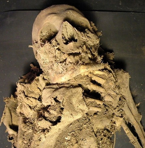 Picture 7 of Hundreds of mummies discovered in mass graves